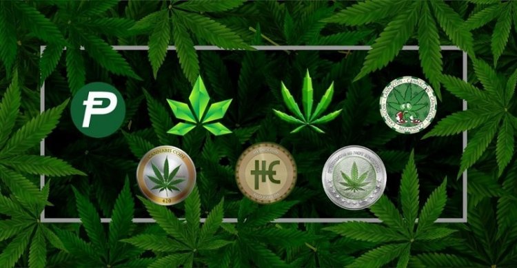How Blockchain is Transforming the Cannabis Industry