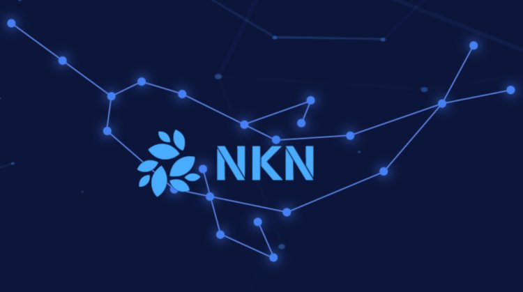 NKN Crypto Price Prediction | NKN coin price 2030