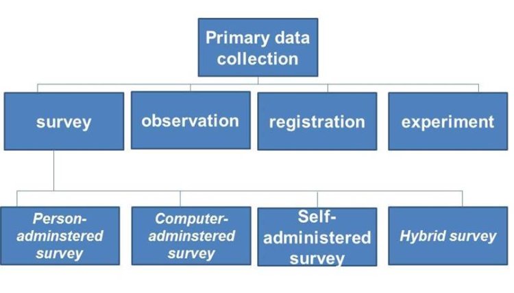 What Is Primary Data?