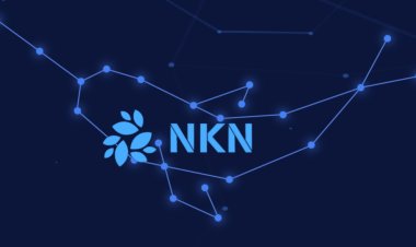 NKN Crypto Price Prediction | NKN coin price 2030